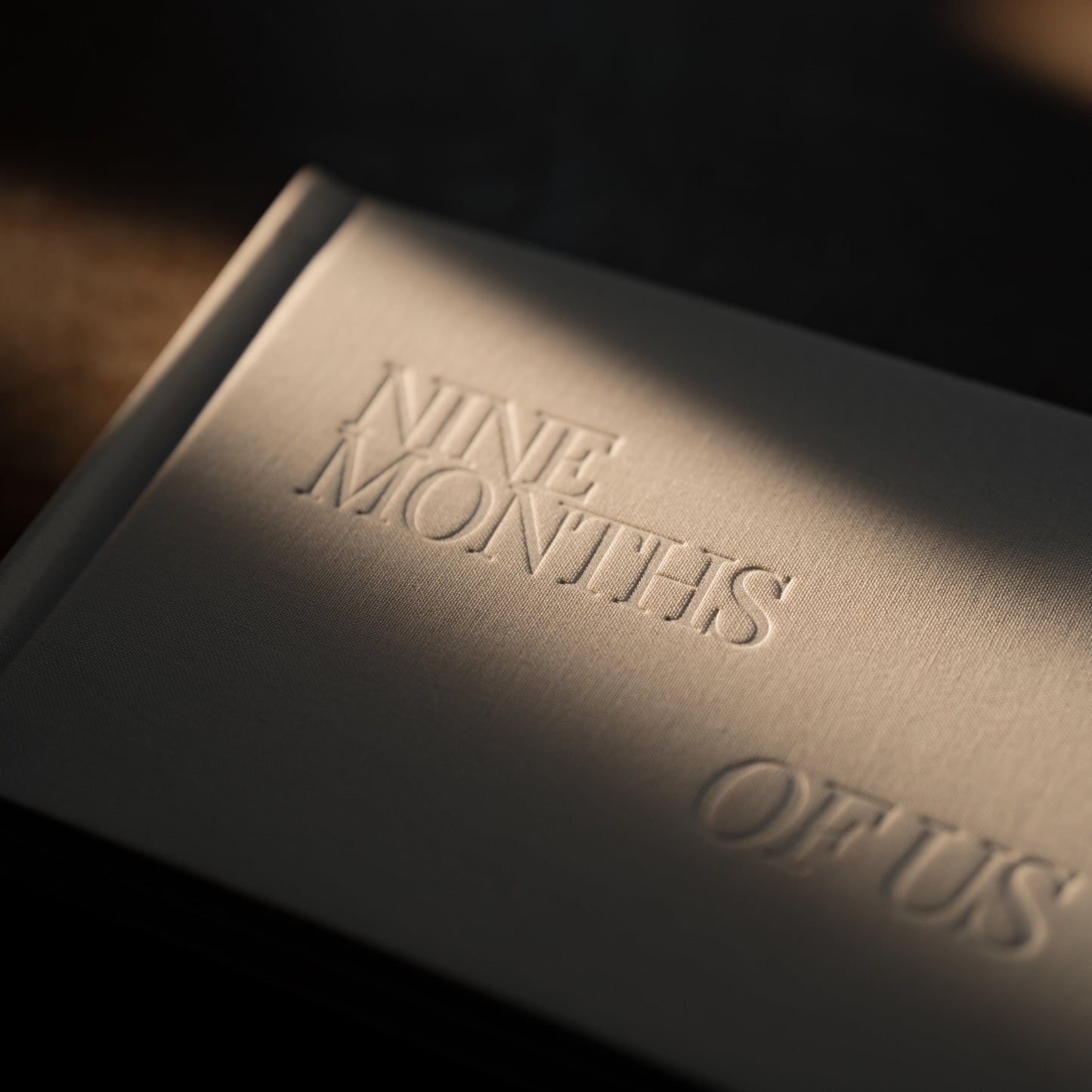 Polaroid Album - 'Nine Months Of Us'